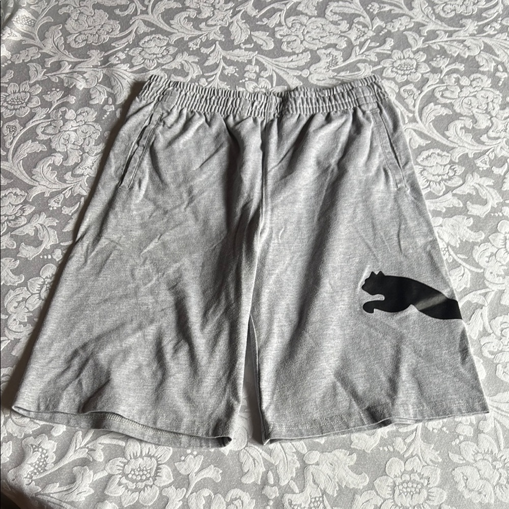 Gray Shorts Puma